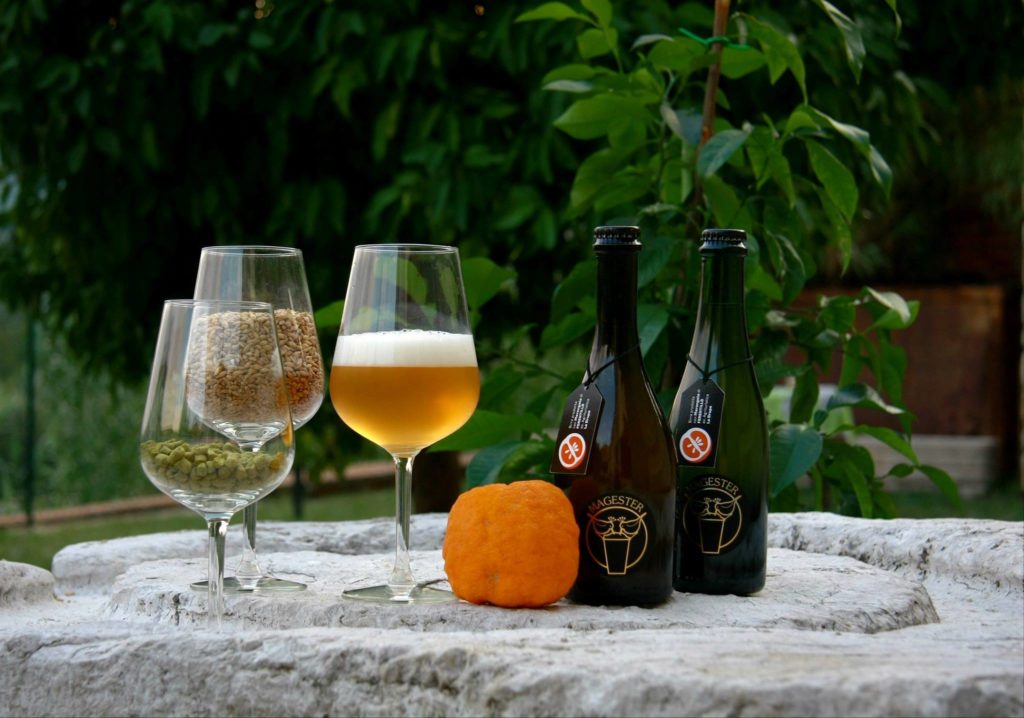 Pronta la birra del birrificio Magester con le nostre Melangole